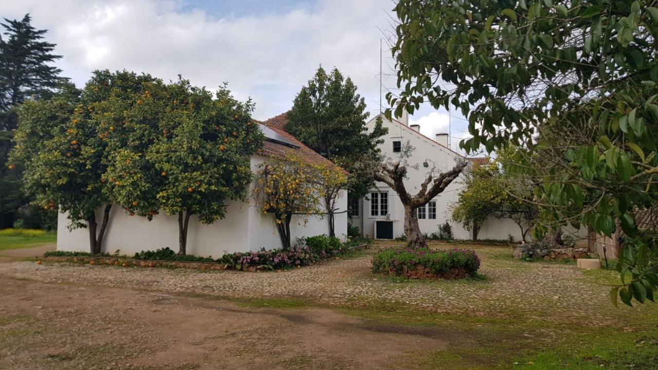 Quinta Do Cacador Hotel Estremoz Eksteriør billede